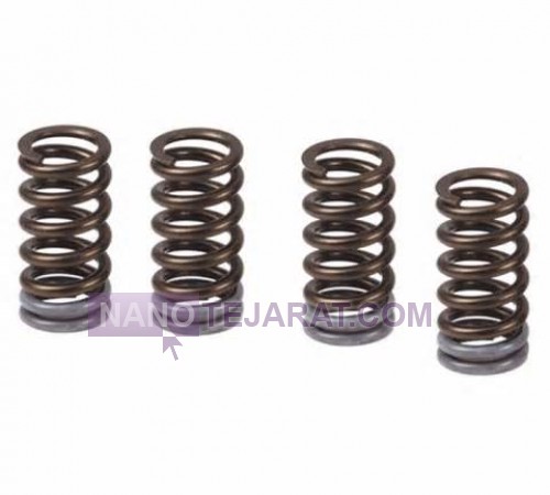 valve spring